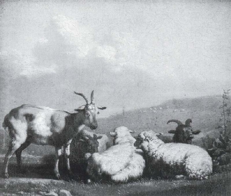 Karel Dujardin Sheep and goats Sweden oil painting art